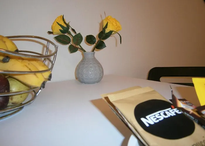 Volos Studio Stella